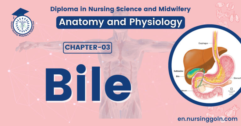 Concept about Bile | CHAPTER 3 | Anatomy and Physiology