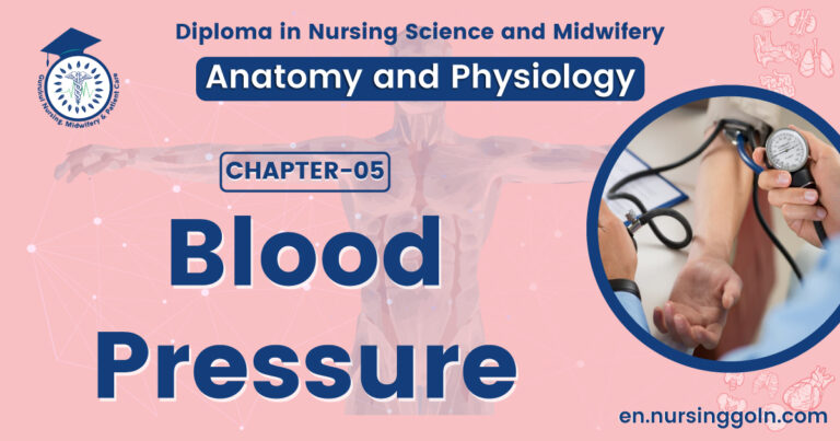 Concept about Blood pressure | CHAPTER 5 | Anatomy and Physiology