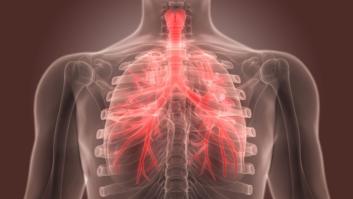Definition of Bronchitis | CHAPTER-8 | Medical and Surgical Nursing