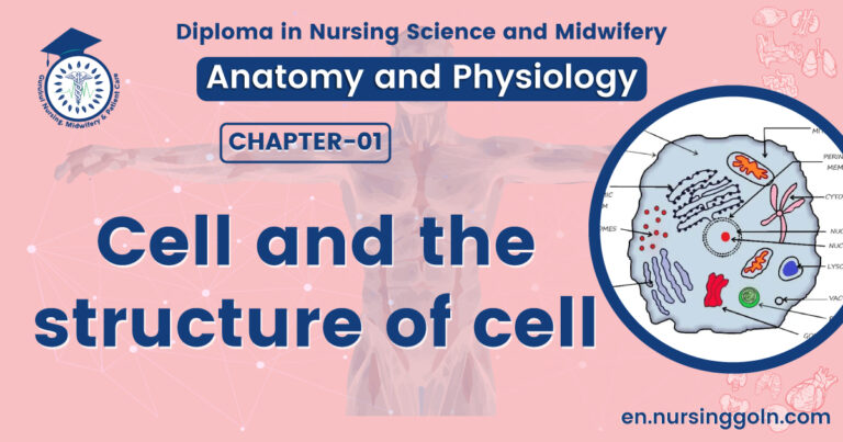 Cell and the structure of cell | CHAPTER 1 | Anatomy and physiology
