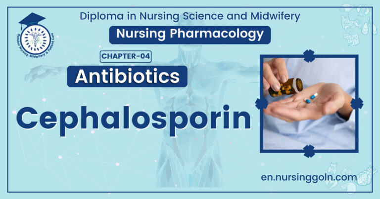 Cephalosporin