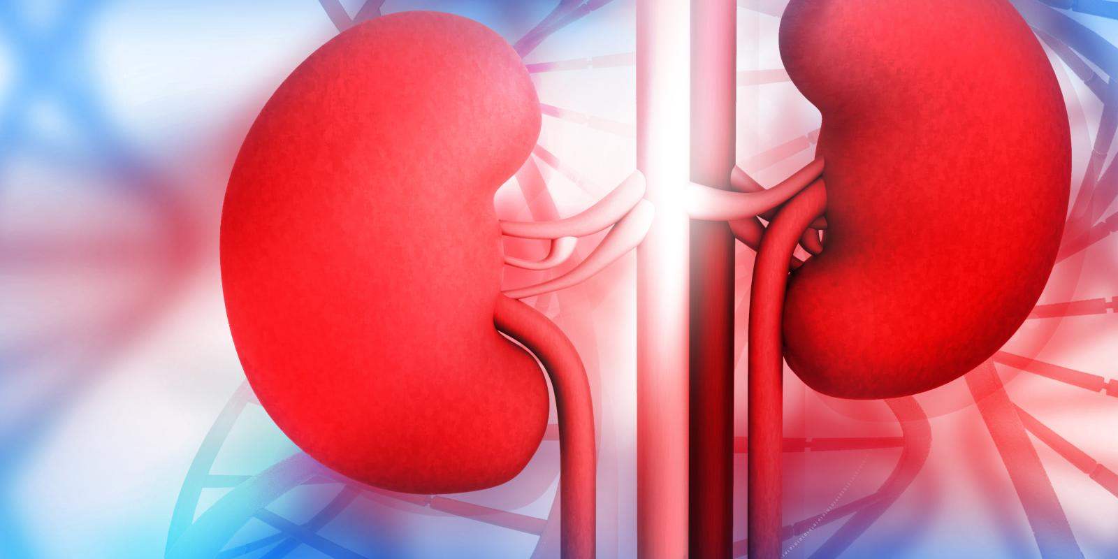 Chronic Renal Failure | Chapter 7 | Medical And Surgical Nursing
