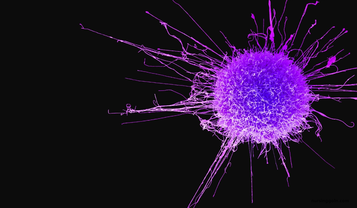 Preventive measures of cancer | CHAPTER-12 | Medical and Surgical Nursing