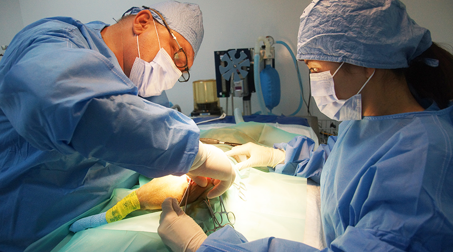 Common Orthopedic Surgery