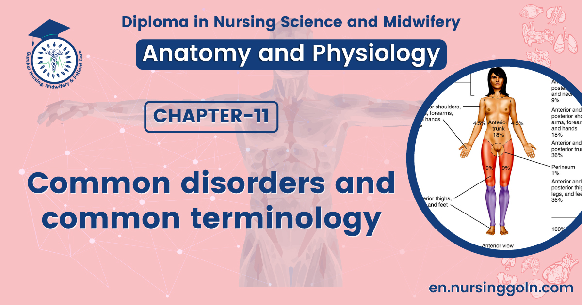 Common disorders and common terminology of integumentary system | CHAPTER 11 | Anatomy and Physiology