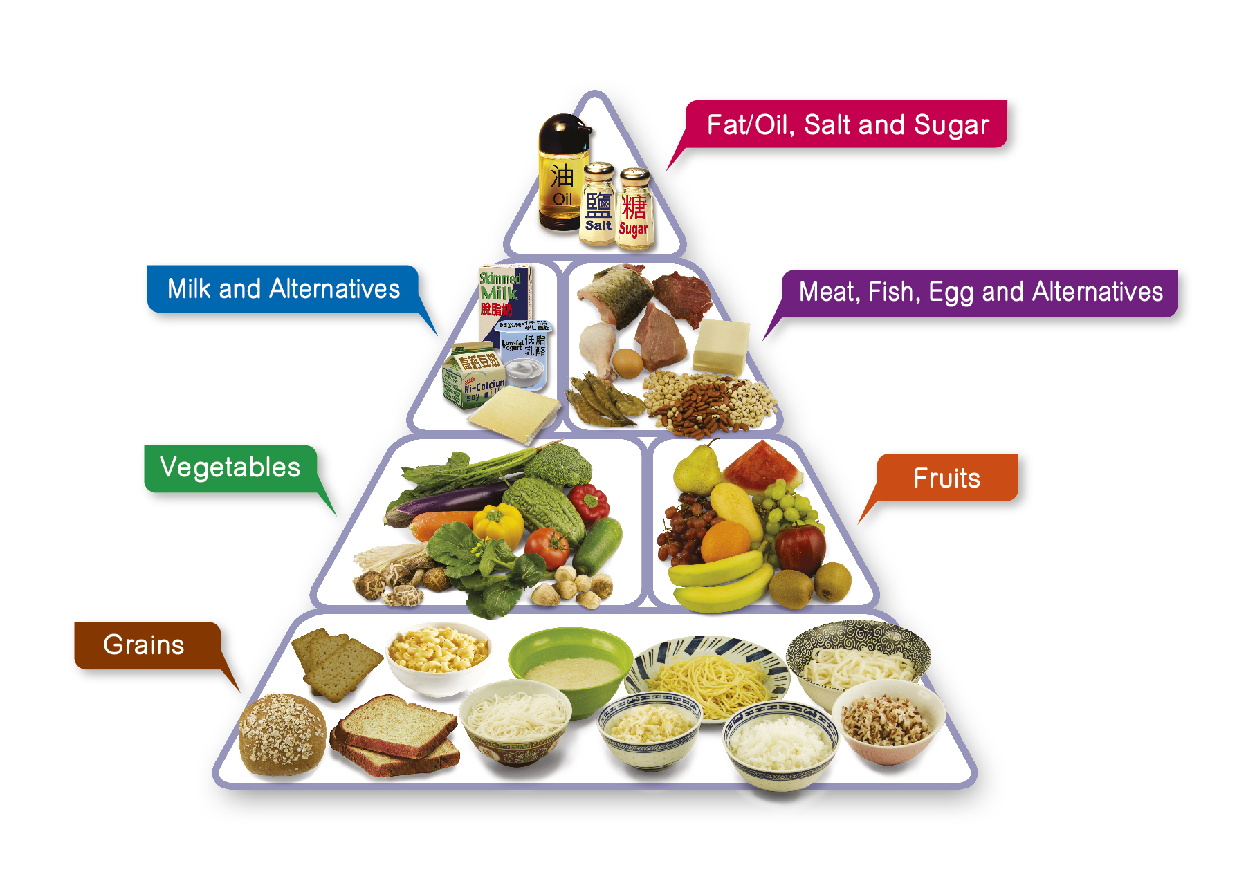 food and nutrition