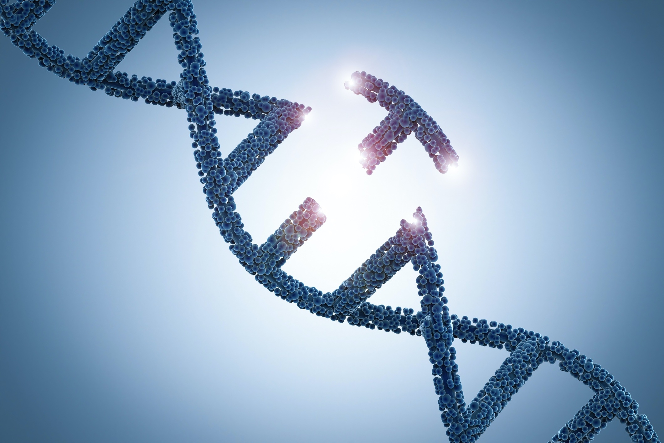 bacterial genetics