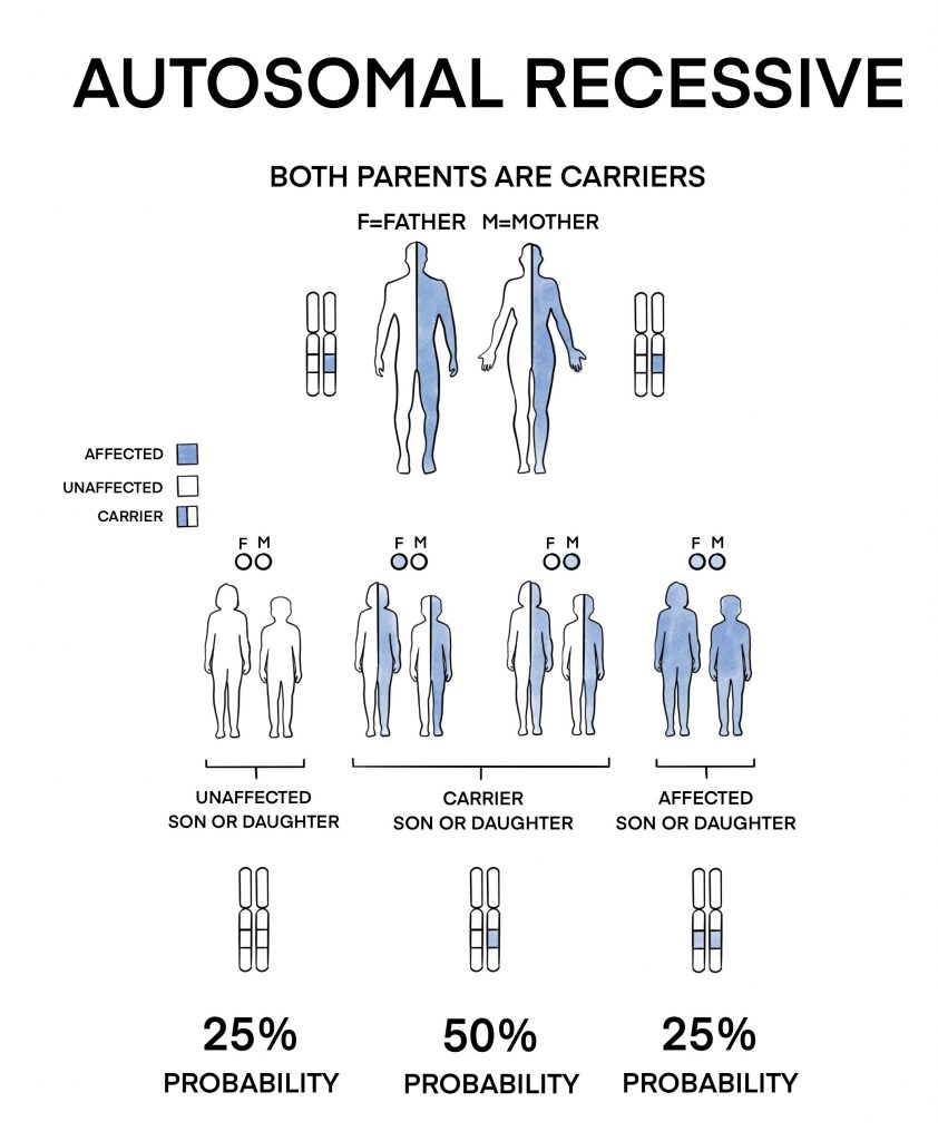 Genetic Inheritance