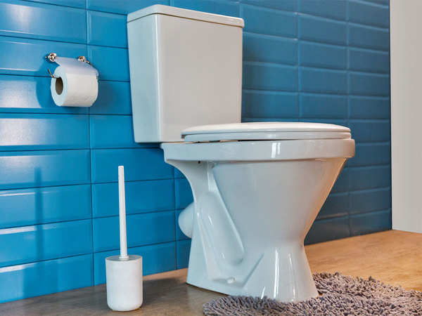 Latrine and Sanitary Latrines | CHAPTER 5 | Community Health Nursing