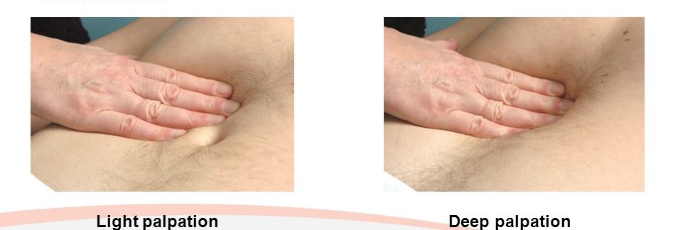 definition of palpation