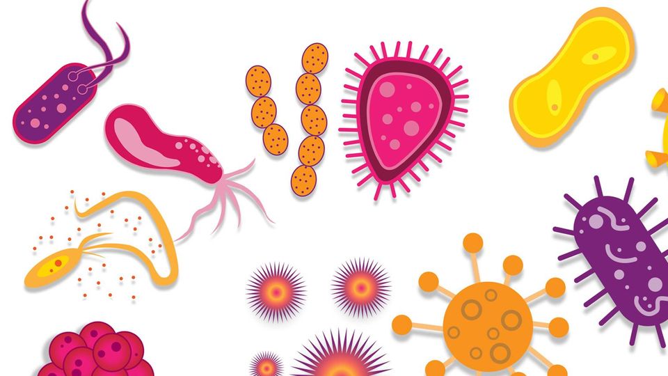 concept about microbiology
