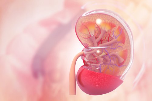 Nephrotic Syndrome | Chapter 7 | Medical And Surgical Nursing