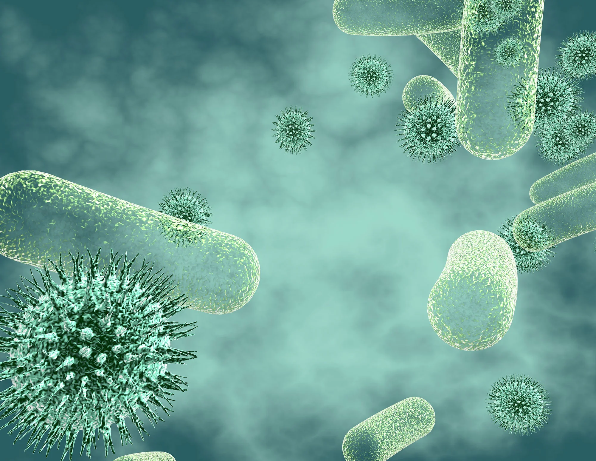Nosocomial Infection