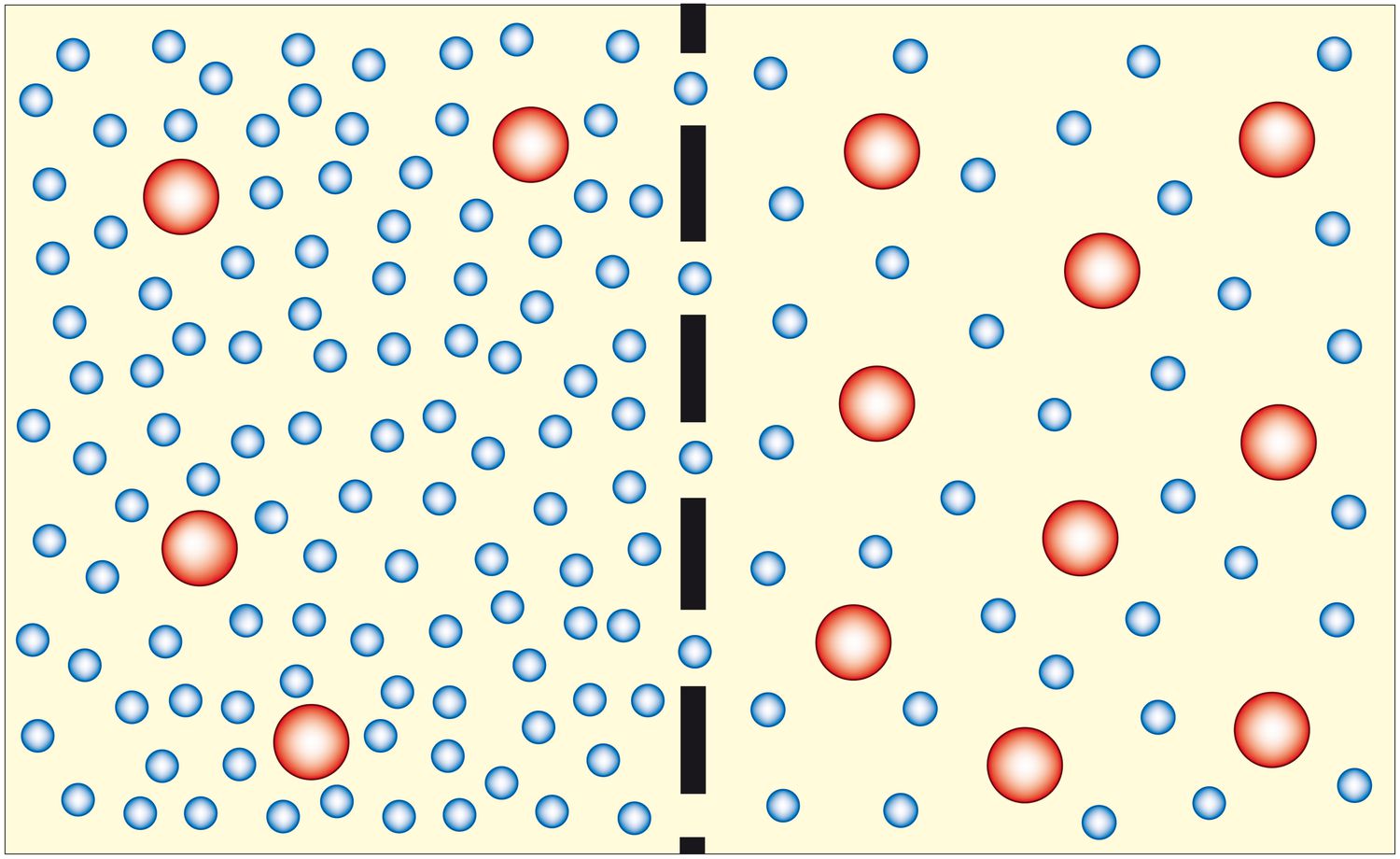 Diffusion and Osmosis
