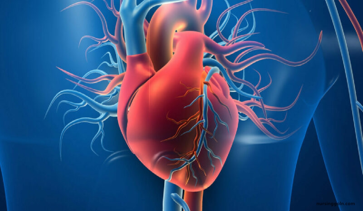Rheumatic fever and rheumatic heart diseases