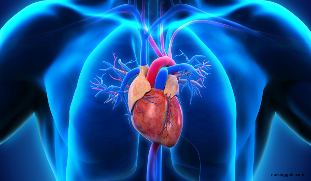 Rheumatic fever and rheumatic heart diseases