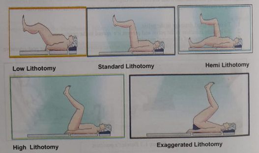 Anatomical position and some common patient position | CHAPTER 1 | Anatomy and physiology