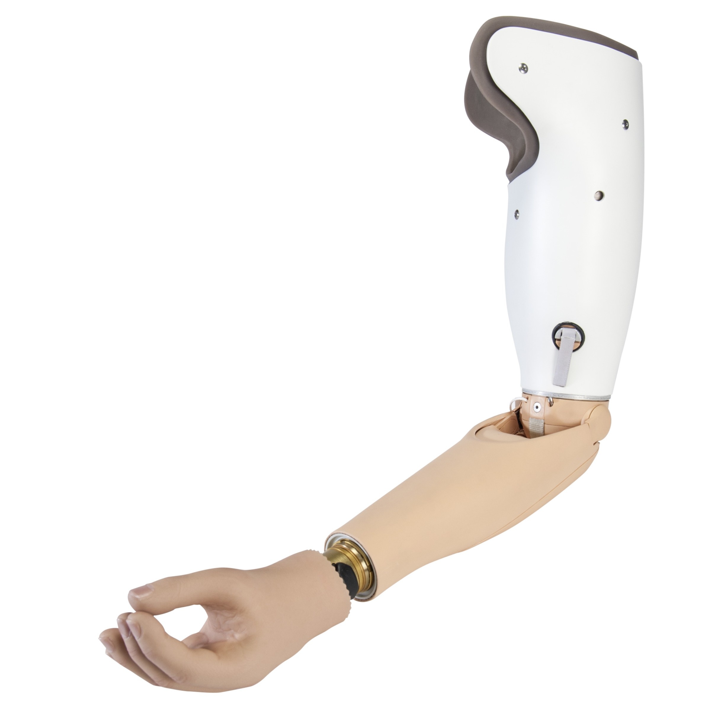 Definition of prosthesis | CHAPTER 9 | Orthopedic Nursing