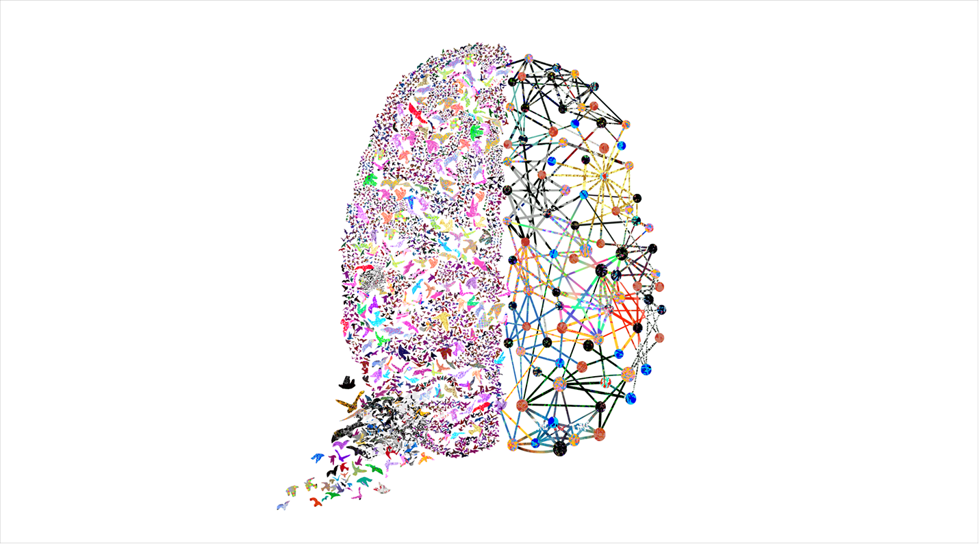 introduction to behavioral science