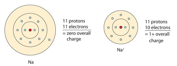 Ionic Bonds