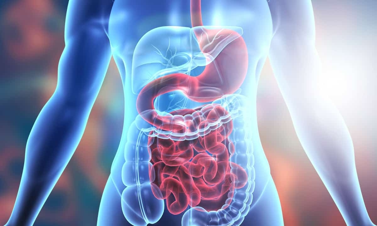 Common disorders and common terminology | CHAPTER 3 | Anatomy and Physiology