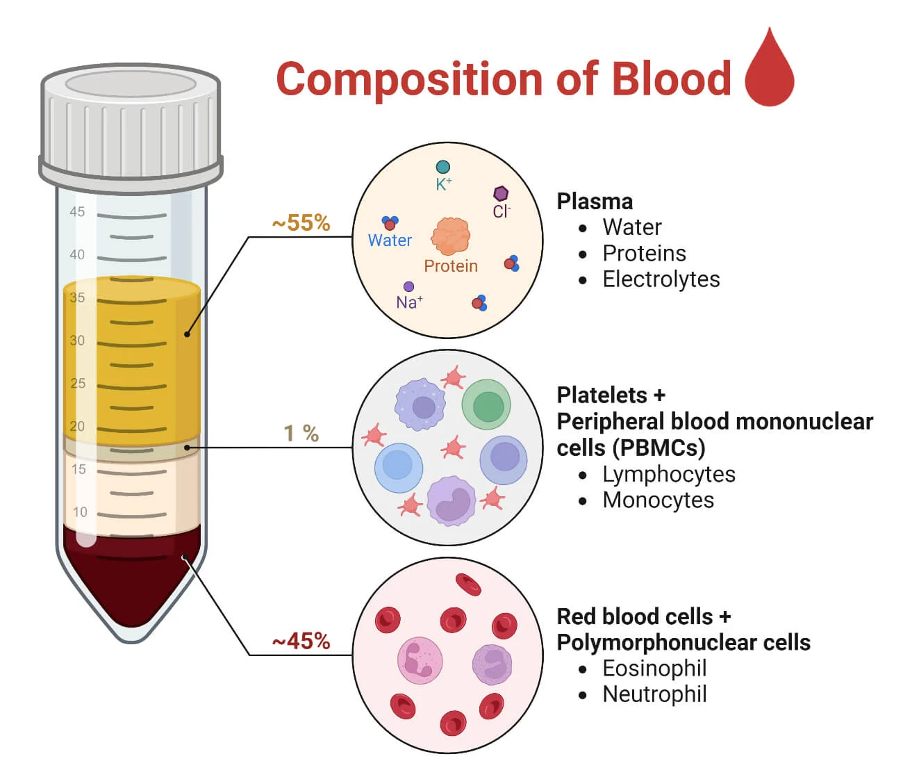 Definition of Blood Composition and functions of blood | CHAPTER 5 | Anatomy and Physiology