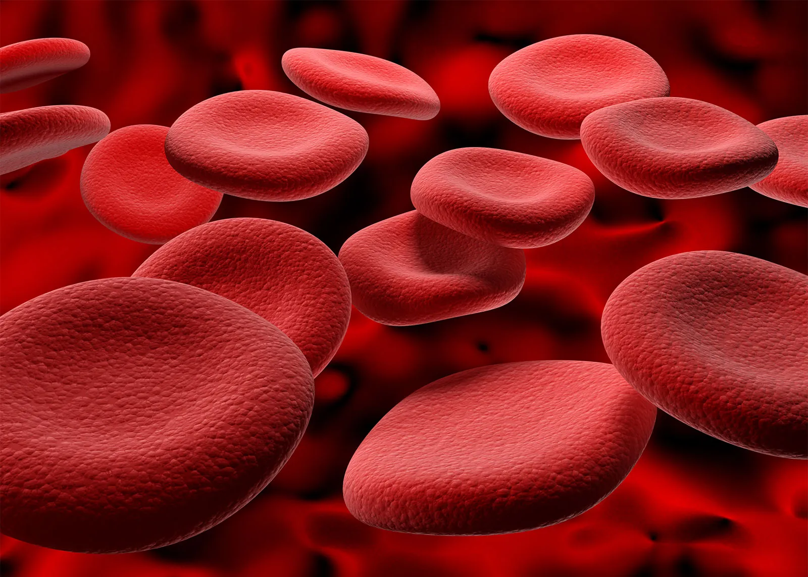 Formed Elements of the Blood | CHAPTER 5 | Anatomy and Physiology