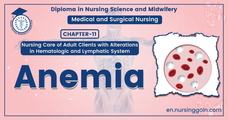 Concept of Anemia | CHAPTER-11 | Medical and Surgical Nursing
