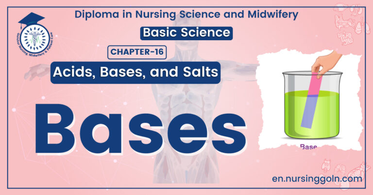 Concept about Bases