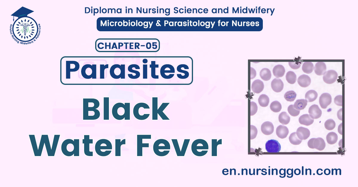 Black water fever | CHAPTER 5 | Microbiology & Parasitology for Nurses