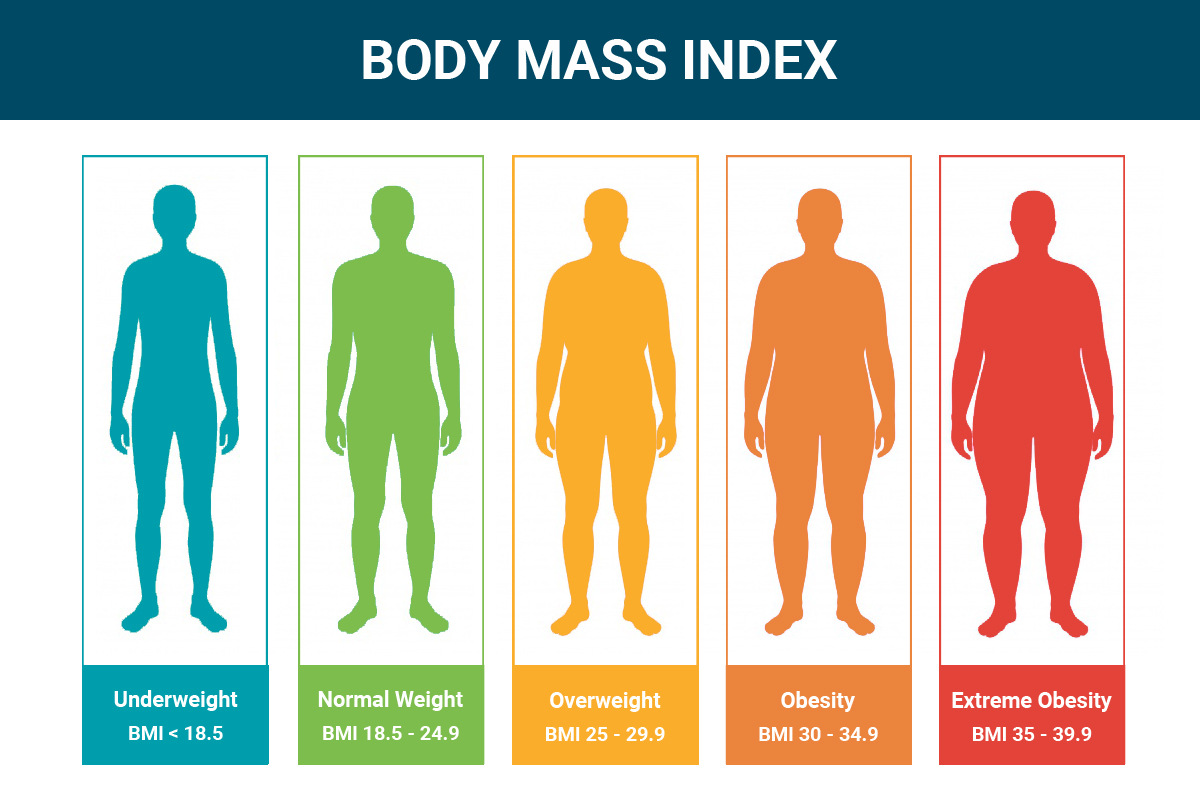 Concept about Body Mass Index