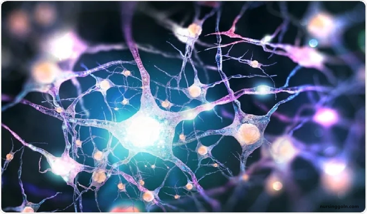 Drug Affecting Nervous System | Chapter 13 | Pharmacology