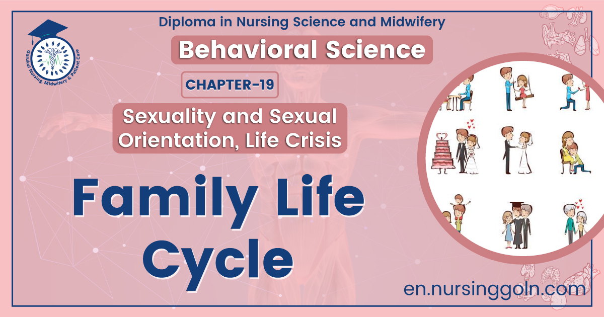 Family Life Cycle