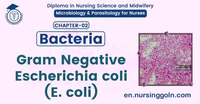 Gram Negative / Escherichia coli (E. coli) | CHAPTER 2 | Microbiology & Parasitology for Nurses