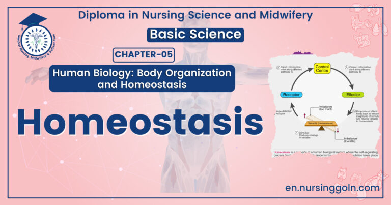Properties of Homeostasis
