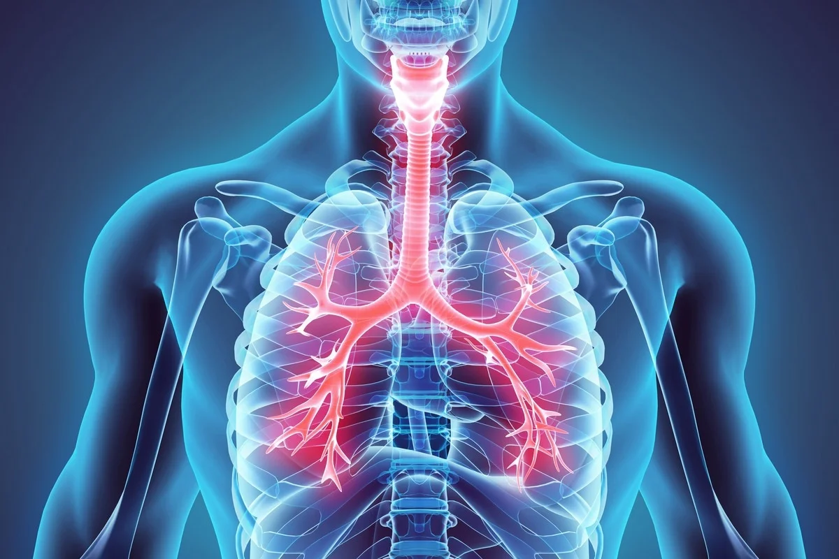Respiratory Disease | Chapter 12 | Midwifery For Diploma In Nursing