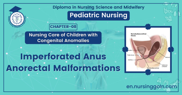 Imperforated Anus/Anorectal Malformations | CHAPTER 8 | Pediatric Nursing
