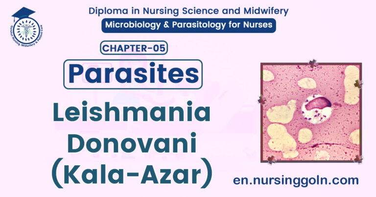 Leishmania donovani (Kala-Azar) | CHAPTER 5 | Microbiology & Parasitology for Nurses