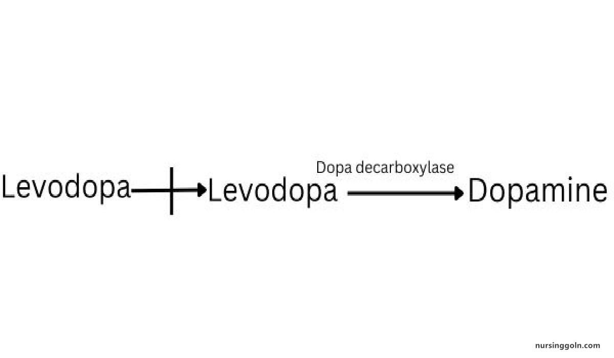 Concept of Prodrug | CHAPTER-1 | Pharmacology