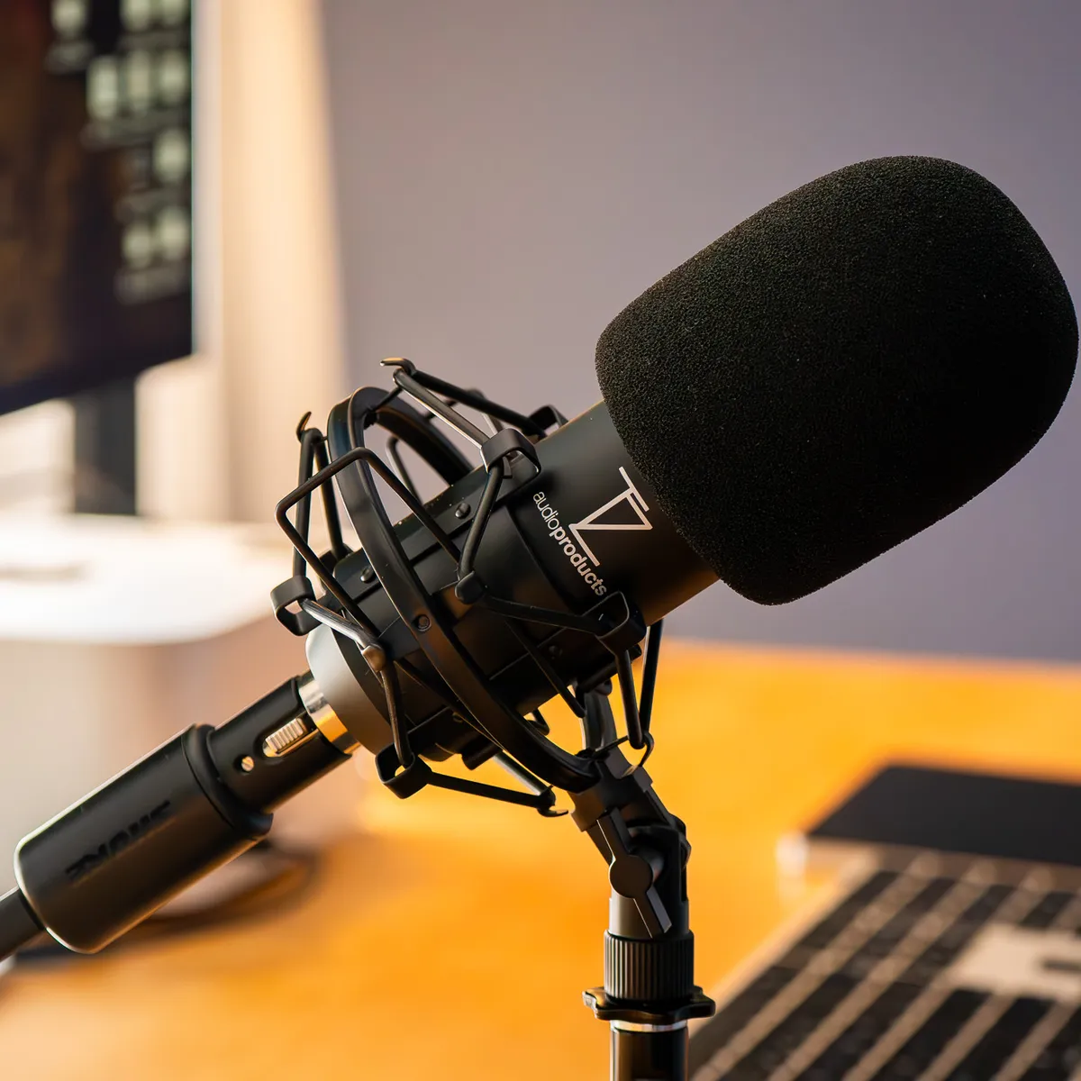 MICROPHONE