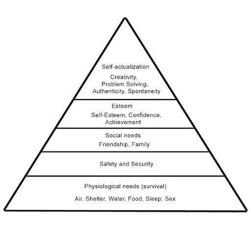Basic Human Needs and Human Rights | CHAPTER 10 | Leadership And Management