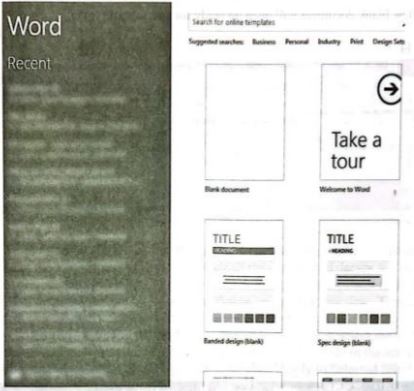 Microsoft Word
