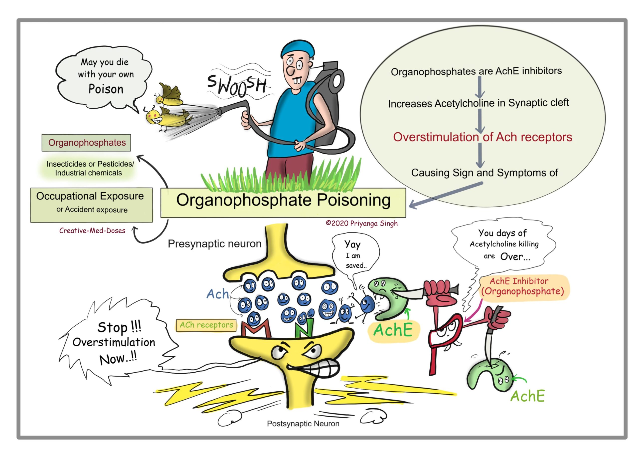 Organophosphate Poisoning (OPC poisoning) | CHAPTER-17 | Pharmacology