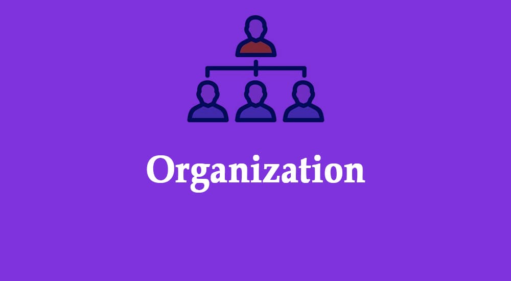 Definition of Organization | CHAPTER 3 | Leadership And Management