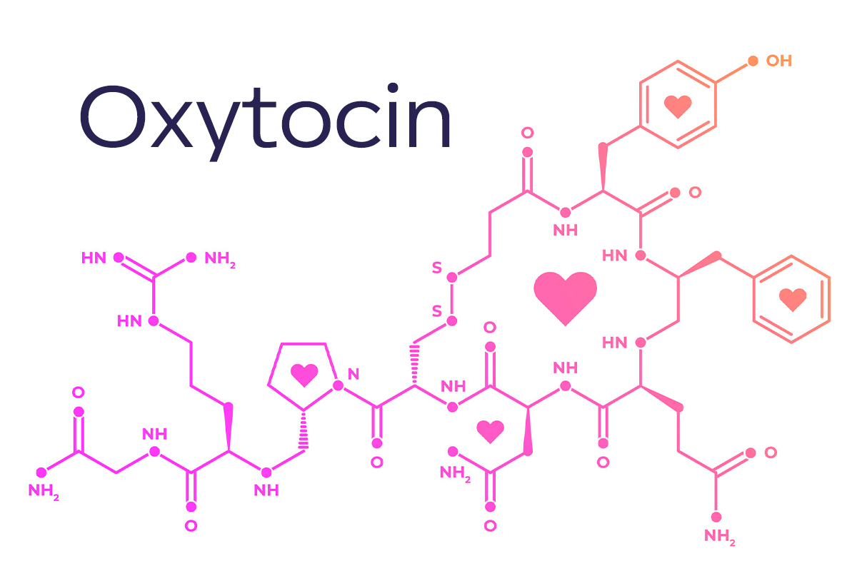 Definition of Oxytocin | Chapter 15 | Midwifery For Diploma In Nursing