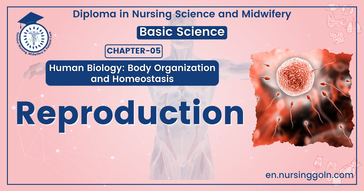 Definition of Reproduction