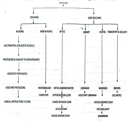 organizational chart | CHAPTER 3 | Leadership And Management