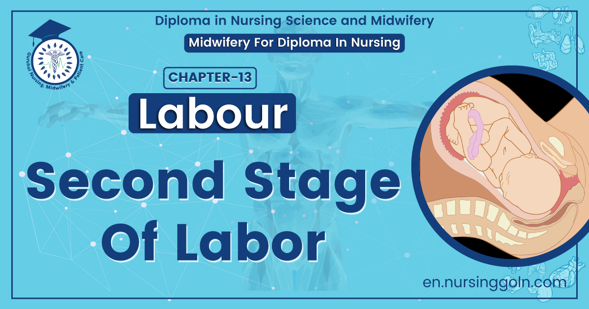 Second Stage Of Labor | Chapter 13 | Midwifery For Diploma In Nursing