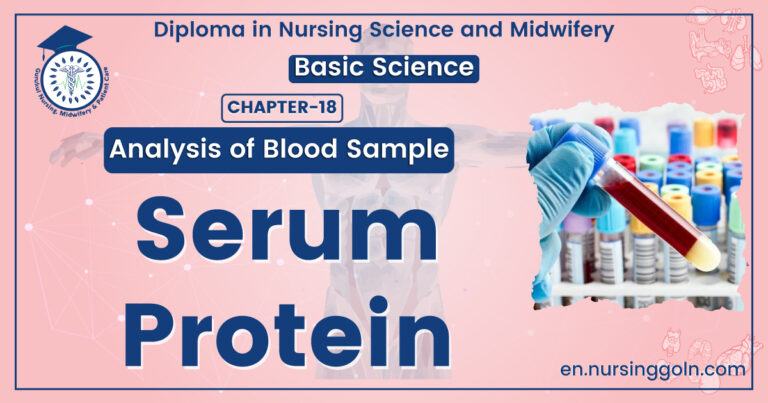 Total Serum Protein Test