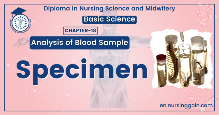 Concepts about Specimen